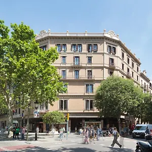  Casa de hóspedes Oliva Espanha